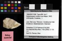 Foto (Objket + Etiketten) von Nodoprosopon ornatum (von Meyer, 1842) 